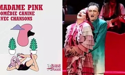 Roxie, caniche rose / Madame Pink